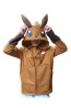 Pokemon Eevee Hoodie