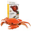 Infrared Remote Control Giant Crab Prank